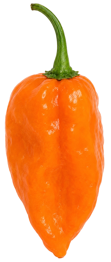 Dein Rezept mit Habanero Francisca